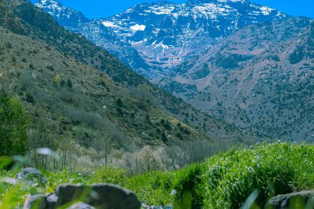 Day Tour to Imlil from Marrakech